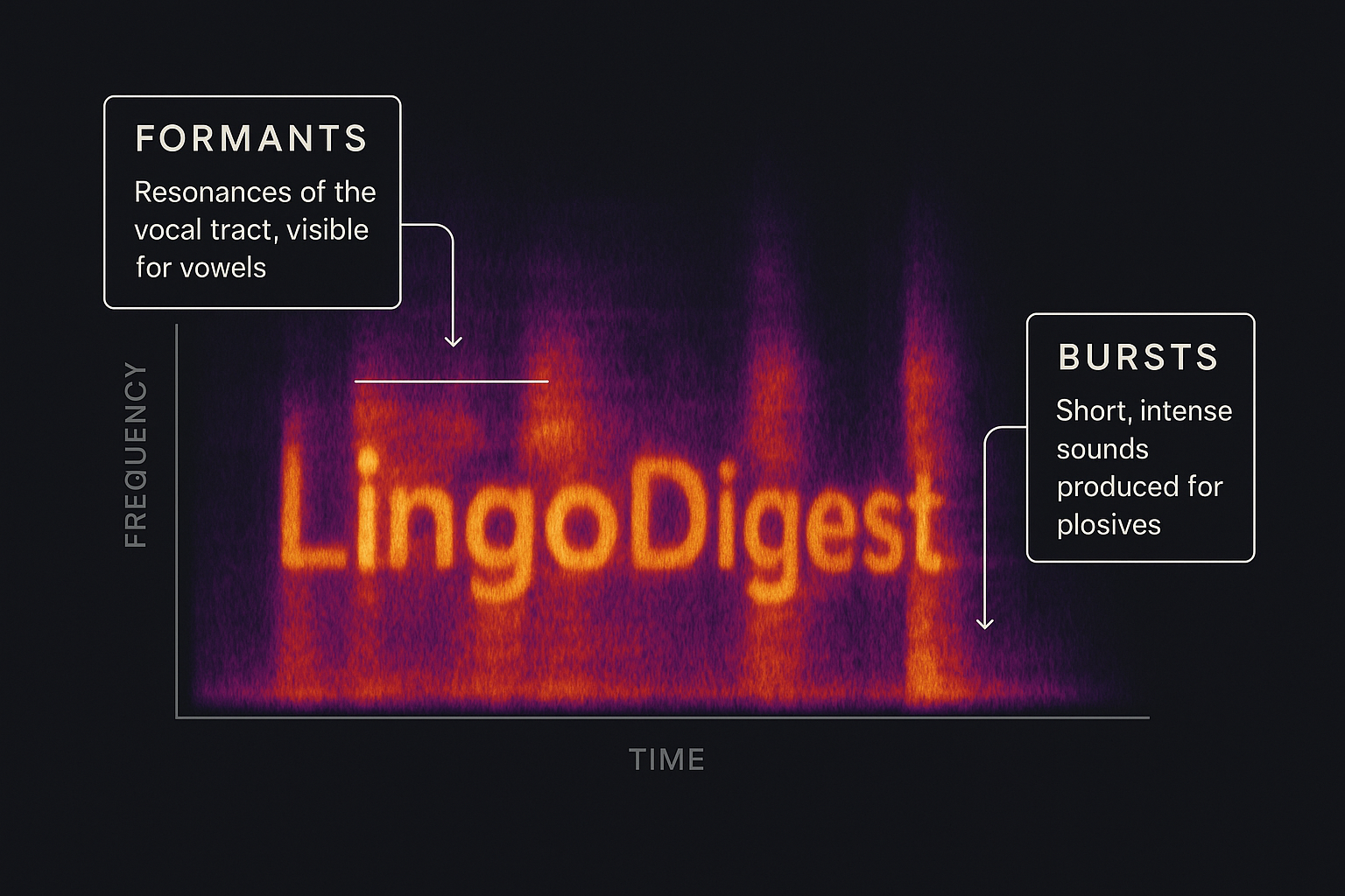 Reading Speech: Secrets of the Spectrogram