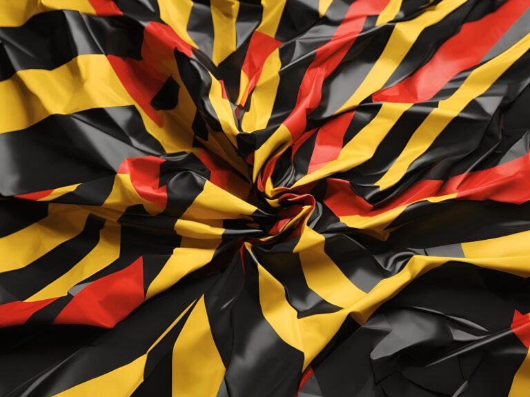 Discovering Belgium’s Unique Contributions to the French Language