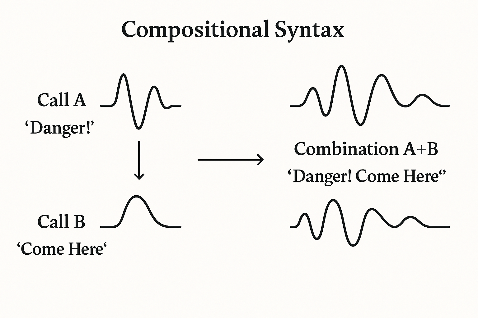 Birdsong Syntax: Are Birds Using Grammar?