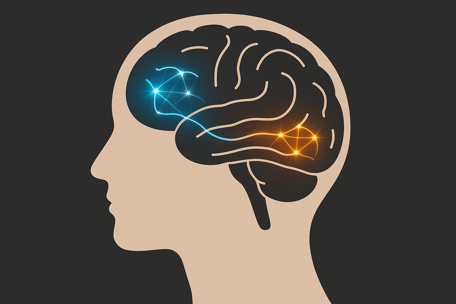 The Brain’s Language Switch: Broca’s vs. Wernicke’s Area